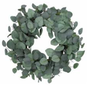24in. Eucalyptus Leaf Wreath