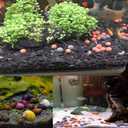 200pcs Mineral Balls for Shrimp Tank - Aquascape Substrate to Support Molting & Water Stability
