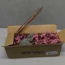 Ttranewsoo Burgundy Hydrangea Artificial Flowers,Fall Hydrangeas Artificial Flowers, Fake Fall Dried Hydrangea Decoration,Faux Silk Flower with Stems Winter Decor(Red Rose 24" 8pcs) Without Vase