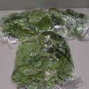 3 Strands Italian Ruscus Artificial Vines, 39" Silk Vine Garland with Green Leaves, Fake Hanging Plants Greenery Decor for Home, Bedroom, Wall, Party, Wedding Decoration