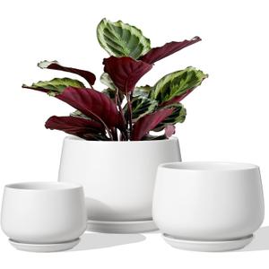 LE TAUCI Ceramic Plant Pots, 4.1+5.1+6.5 inch, Set of 3, Planters with Drainage Hole and Saucer, Indoor Flower Pot with Hole Mesh Pad, Gifts for Mom, White