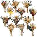 Layhit 12 Pcs Boho Dried Flower Bouquet Mini Wedding Handmade Dry Flowers Decor for Vase Crafts DIY Photo Boutonniere for Men Floral Plant for Bridesmaid Gift Birthday Decor(Bright)