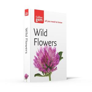 Collin Gems All You Need to Know: Wild Flowers book, Paperback