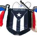Black Puerto Rico Boxing Glove Rican flags Boricua Decoration decor accessories PR flag