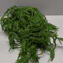 12 Pcs Amaranthus Artificial Flower Artificial Hanging Amaranthus Faux String of Pearls Plant Wall Hanging Decor for Wedding Floral Arrangement Home Garden Decor Party Supplies (Green) (24 Inch)