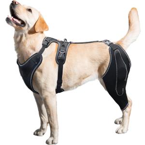 LISPOO Dog Knee Brace with Metal Hinged Support - Adjustable ACL Support Brace for Torn Ligaments, Luxating Patella & Arthritis, Breathable Strap Design for Large Dogs (Size L)