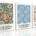 William Morris Wall Art Set of 3 Vintage Botanical Wall Decor Nature Flower Exhibition Posters Retro Plant Canvas Prints Paintings for Living Room Bedroom Kitchen 16x24 Inch Framed (Light)