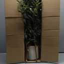 Artificial Olive Tree 5ft, Tall Faux Olive Tree with White Planter, UV-Resistant Fake Plants for Indoor and Outdoor Decor, Realistic Potted Plants for Home, Office & Living Room Decor VN158 (Green)