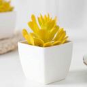 8Pcs Mini Artificial Succulent Plants Simulation in White Pots Small Fake Succulents Decoration for Bedroom Aesthetic Living Room Office Shelf