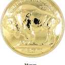 Bezelry 12 Pieces Buffalo Coin Style Metal Shank Buttons. 21mm (13/16 inch) (Shiny Gold)