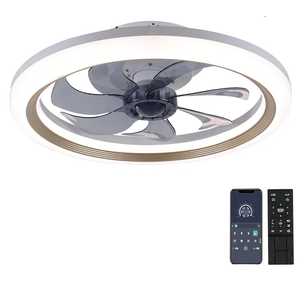 OurEDee 20'' Ceiling Fan with Lights & Remote, Low Profile, 6 Wind Speeds, Dimmable Light, Modern White Flush Mount, Smart for Home (Gold+Grey)