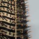 4-in-1 Hot Air Brush with Oval Barrel - Salon-Grade Styling Tool for All Hair Types (Golden)