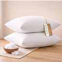 COCONIQ 12x20 Lumbar Pillow Inserts Pack of 2, Soft & Supportive Polyester Cushion Fillers, White Decorative Lumbar Pillows for Sofa, Bed & Chairs