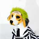 2 x Black Striped Dog Suit wit Green Wig Scientist Dog Costume Pet Costume Cosplay Clothes Outfit Accessories Party Favors (Small, Striped Clothes with Wig)