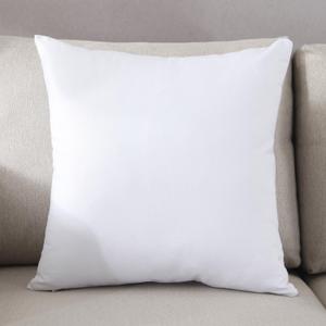 20 x 20 Pillow Insert