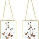 JUXYES Set of 2 Wall Hanging Brass Frames for Pressed Flowers, Double Glass Hanging Picture Artwork Display Frame, Vertical Gold Floating Style Gallery Wall Frame for Photo Picture Poster etc, 5x7 Inches