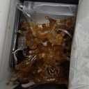 Horse Gifts for Girls Fairy String Lights, Novelty Decorative Pony Lights 8.5ft 20LEDs USB or Battery Operated with Remote Control for Bedroom Birthday Holiday Wedding Christmas Dcor (Gold)