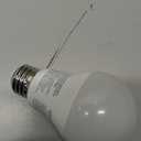 Amazon Basics Smart A19 LED Light Bulb, Dimmable Soft White (2700K), 9W (60W Equivalent), 800LM, Works with Alexa Only, Energy Efficient, 2.4 GHz Wi-Fi, No Hub Required, 1-Pack