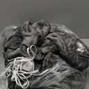 Heated Blanket Queen Size, Soft Cozy Upgraded Flannel Electric Blanket Dual Control with 5 Heating Levels & 10 Hours Auto Off, Fast Heating & ETL & FCC Certification, 84" x 90", Silver Gray