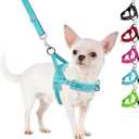 SlowTon No Pull Small Dog Harness and Leash Set, Puppy Soft Vest Harness Neck & Chest Adjustable, Reflective Lightweight & Anti-Twist Pet Lead Combo for Small Medium Dogs (B-Teal - With Front Clip, S)