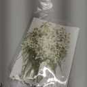 Tinideya 100 Pcs Dried Babys Breath Flowers Bulk Babys Breath Real Pressed Flowers Natural Gypsophila for Resin Wedding Art Craft Baby Shower DIY Invitations Scrap Booking Card Making(Ivory White)