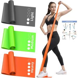 Resistance Bands Set, Exercise Bands for Working Out, Elastic Bands for Home Exercise, Gym, Physical Therapy Bands for Stretch, Recovery, Yoga, Pilates, Rehab, Strength Training - Colorful