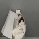 Feyocn Boho Couch Covers for Pets Washable Sofa Covers for Dogs Cats Sofa SlipCover for 3-4 Cushion Couches Pet-Friendly Anti-Slip Sofa Covers for Living Room (27.6" x 71", Brown)