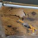 Colima 24" Modern Wood Floating Shelves, 2-Pack, 1.3" Thick, Wall Mounted, 50 lbs Capacity, Bedroom, Bathroom, Kitchen