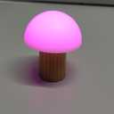 Gingko 7 Colour Changing RGB Alice Mushroom Lamp, Mood Light and Night Lights, Long Life Battery, USB-C Charging, 3 Light Modes, FSC Certified Wood with Frosted ABS Shade (White Ash, Super Mini)