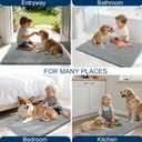 OLANLY Dog Door Mat for Muddy Paws 30x20, Ultra Absorbent Chenille Mud Doormat, Non-Slip Washable and Dirt Trapping Doormat for Indoor Entryway, Quick-Dry Indoor Pet Bed Mats for Dogs, Grey