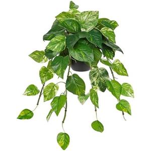 Hollyone Artificial Hanging Pothos Plants Potted Fake Ivy Faux Pothos Vine Leaves Hanging Greenery Plant in Black Pot for Home Indoor Tabletop Bedroom Patio Shelf Office Decor