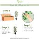 Nearly Natural 6.5ft Minimalist Artificial Citrus Tree with Bendable Branches for Indoor Home Decor, Faux Greenery Plant in Nursery Planter