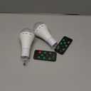 USB Rechargeable Light Bulbs with Remote, 4 Light Modes + Timer, 1200 mAh Rechargeable Battery, Portable LED Tent Light Bulbs for Home Emergency Camping Tent (Pack of 2)