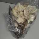 3Pcs Fall Decor Artificial Maple Leaves Branches Fake Fall Leaves Stems Plants Faux Maple Shrubs Leaf Bushes for Home Kitchen Decor Autumn Thanksgiving Festival Party Decorations White