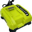 Rapid Charger Compatible with Ryobi 40V Lithium Battery