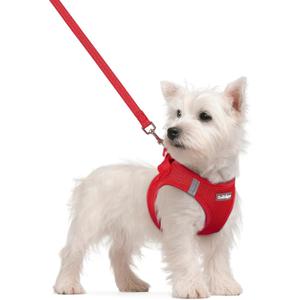 rabbitgoo Dog Harness Small Sized and Leash Set, Step in Soft Light Puppy Vest, Breathable Mesh Pet Harness, Reflective for Safe Easy Walking, Red S