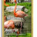 Ornate Gold 14x20 Frame - Single Frame, 14 x 20 Poster Frame for Artwork, Puzzles, Photos and Movie Posters Picture Frames