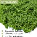 Fake Green Moss for Crafts 7 Oz Decorative Artificial Moss for Crafts Decorative Faux Moss Table Centerpieces Wedding Party Decor Fairy Garden Floral DIY