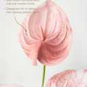 Ling's moment Artificial Anthurium Plants, 8pcs Shabby Blush Silk Filler Flower, Pink Faux Greenery Stems for DIY Wedding Bouquets Centerpieces Arrangements Bridal Shower Party Home Decorations