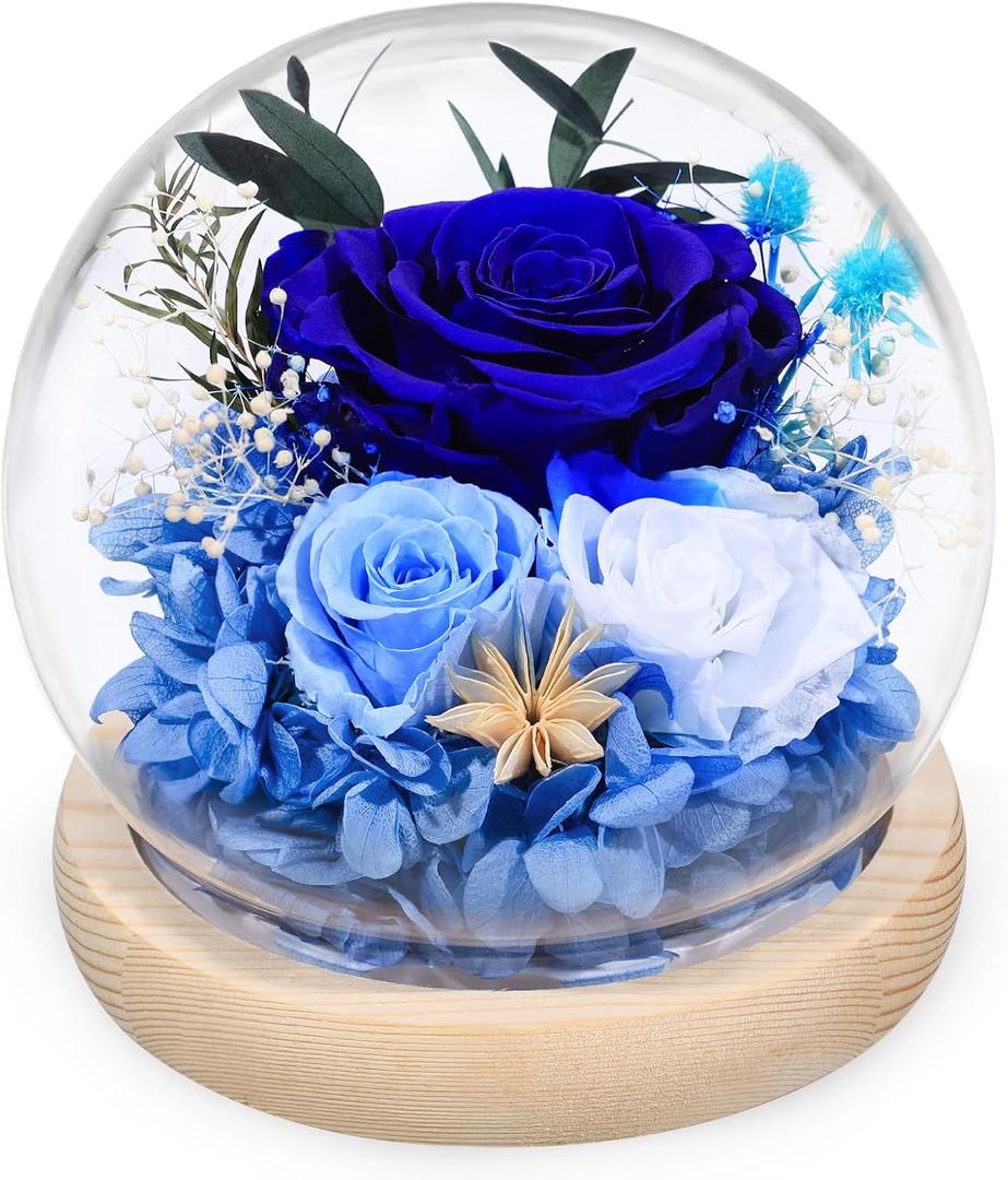 FIACO Preserved Rose Birthday Gift for Women Forever Fresh Flowers for Prime Delivery Gift for Mom Grandma Wife Valentines Mothers Day Christmas Anniversary Eternal Roses in Glass Dome (Dark Blue)