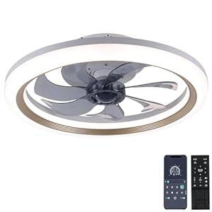 OurEDee 20'' Ceiling Fan with Lights & Remote, Low Profile, 6 Wind Speeds, Dimmable Light, Modern White Flush Mount, Smart for Home (Gold+Grey)