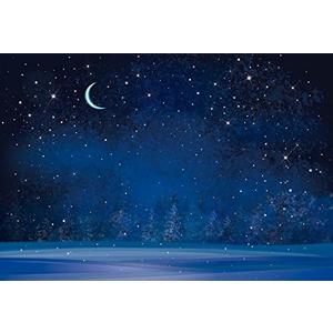 Yeele 8x6ft Winter Night Snowfall Snowflake Photography Backdrops Starry Sky Moon Blurry Fir Trees Pine Forest Background Merry Christmas Happy New Year Party Banner Decoration Studio Props
