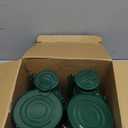 Honoson 4 Pieces Oil Lamp Hurricane Lamp Kerosene Lantern for Indoor Outdoors Decorative Hanging Oil Lantern with Wick Gift for Christmas Hiking Emergency Camping Party Decoration(Green,8 Inch)