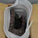 Resin Reptile Hideouts Cave Habitat Decor for Gecko Leopard Lizards Toad Turtle (B- Extra Large)