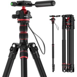 NEEWER Basics Camera Tripod Monopod, 77" Compact Lightweight Travel DSLR Video Stand, 360 Ball Head, Arca Type QR Plate, Reversible Legs & Inverted Central Axis, 13lb Max Load, TP08
