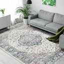 6x9 Area Rugs for Living Room, Vintage Boho Rug Non-Shedding Carpet Non-Slip Rug Stain Proof Washable Rug for Dining Room Bedroom Entryway Kitchen