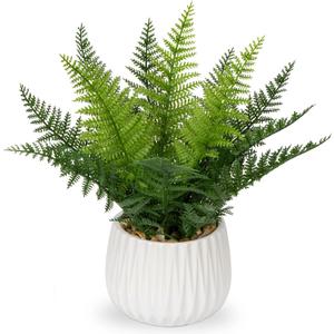 DILATATA Faux Plant Indoor in Ceramic Pot 12" Artificial Potted Fern Fake House Plants for Desk Office Bathroom Garden Decoration - White