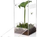 Jumping Spider & Tarantula Enclosure, Snail & Praying Mantis Habitat, Insect & Small Reptile Terrarium (6.8x3.1x3.1inch)