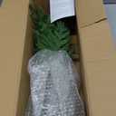 Norfolk Pine Christmas Tree Real Touch Faux Holiday Tree with Pot, Realistic Indoor Outdoor Decoration for Entryway, Living Room, Office, Apartment (4FT- 1Pack)