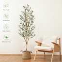 Kazeila Artificial Olive Tree 6FT Tall Faux Silk Plant for Home Office Decor Indoor Fake Potted Tree with Wood Branches and Fruits